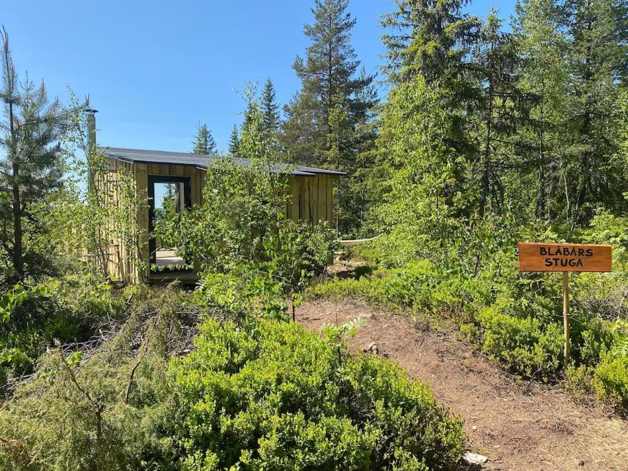 Forest Cabin With Stunning Mountain View & Sauna Torsby Exteriör bild