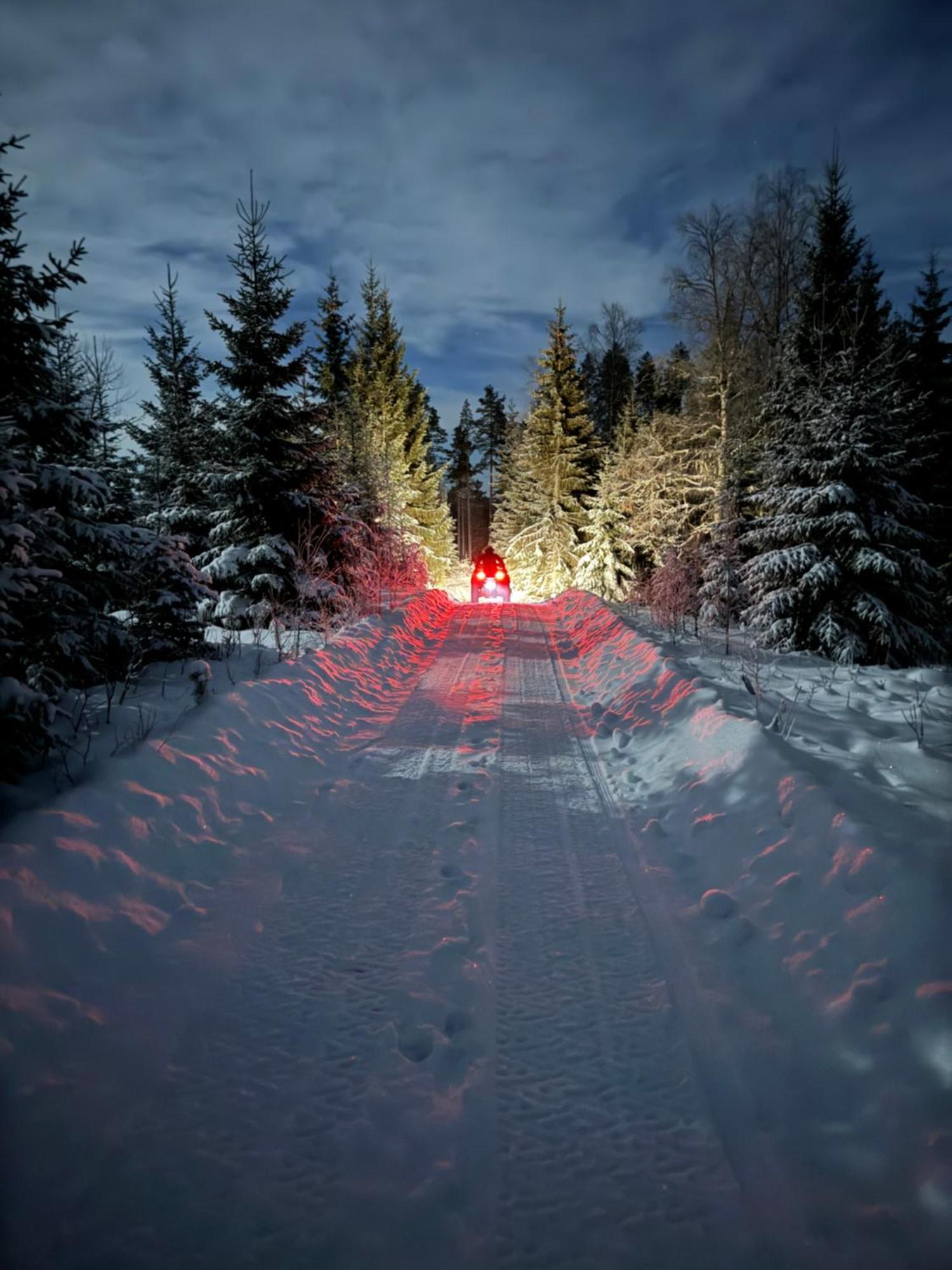 Forest Cabin With Stunning Mountain View & Sauna Torsby Exteriör bild