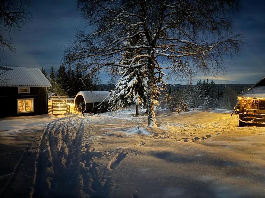 Forest Cabin With Stunning Mountain View & Sauna Torsby Exteriör bild