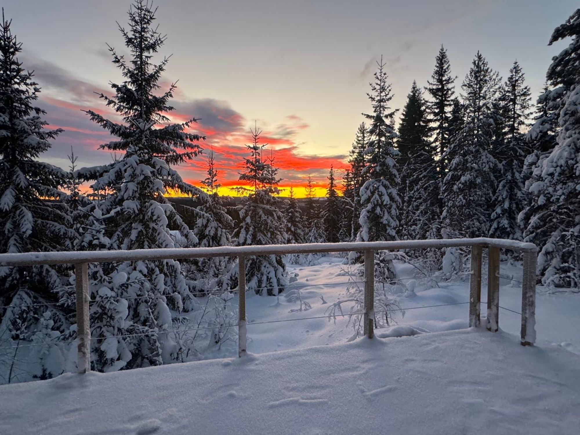 Forest Cabin With Stunning Mountain View & Sauna Torsby Exteriör bild